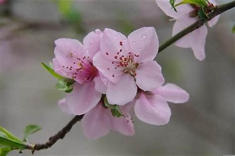 寒衣节有什么意义 寒衣节适合吃什么