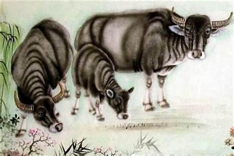 属猴的人哪年犯太岁 这三年要注意？
