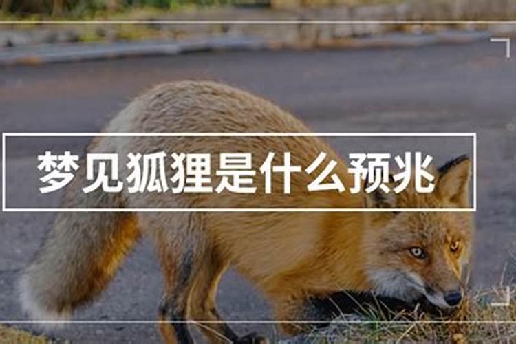 梦见在世的爸爸死而复生的预兆