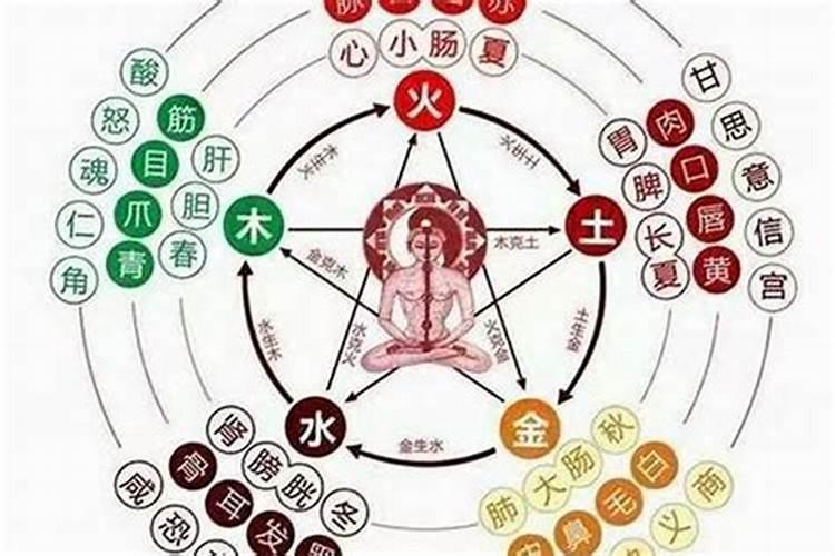 本命年能上坟吗