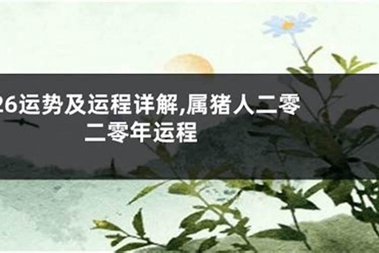 一九六O年农历六月二十出生在二0二O年运势如何？