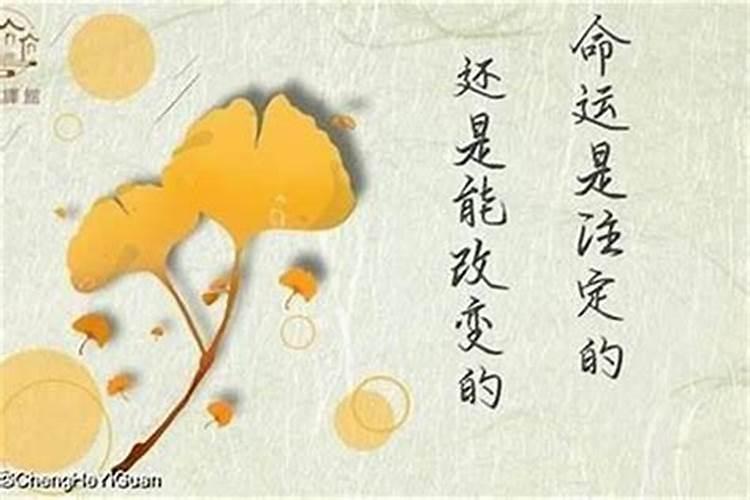 曾仕强谈八字能决定命运吗