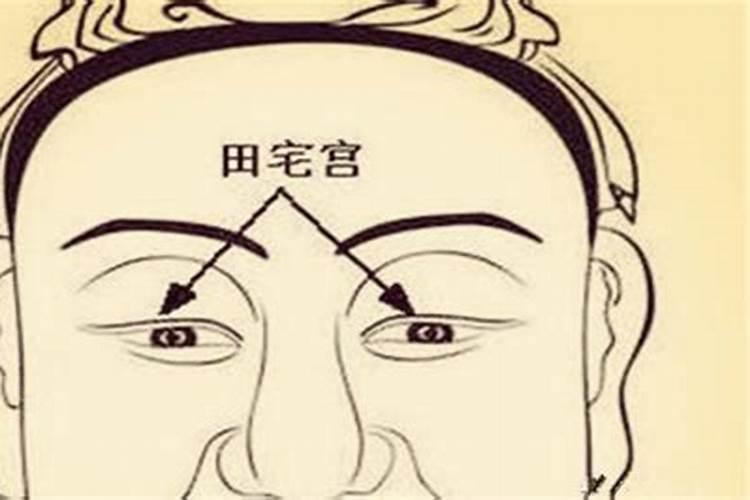 命理配对 大林木命和沙中土命适合在一起吗？