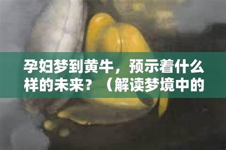 86年女人属虎一生命运如何