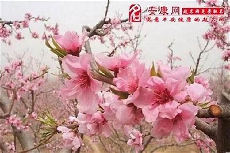 算命中的无艳煞无艳煞是什么意思