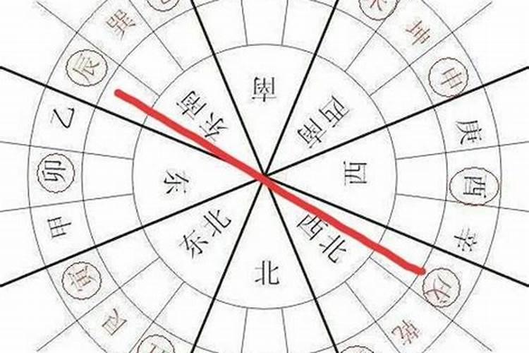 2025年属猪的全年运势
