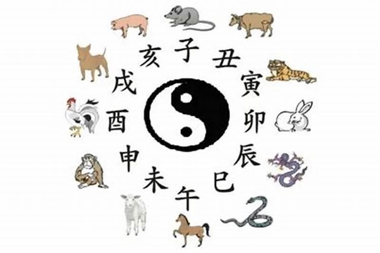 83年属猪的今年的婚姻