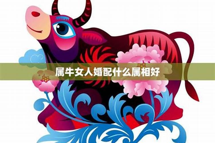 1979年羊是什么命五行属什么
