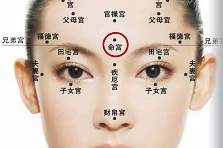 重阳节晚会在中央几台