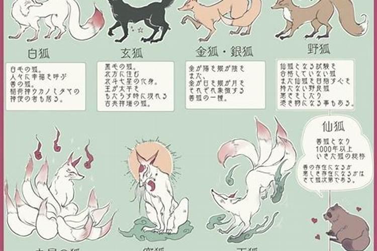 阴阳师百闻牌秘闻35怎么打 剧情第三章妖狐打法介绍