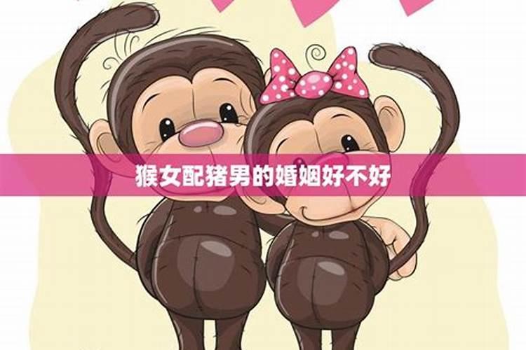 属猪男属猴女的婚姻怎么样