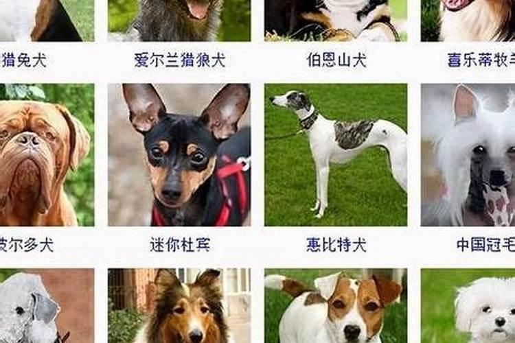 道教的还阴债是怎么回事