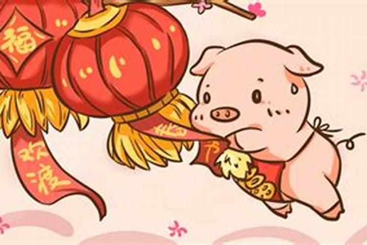 93女鸡95男猪八字合么 女93鸡男95猪结婚好不好