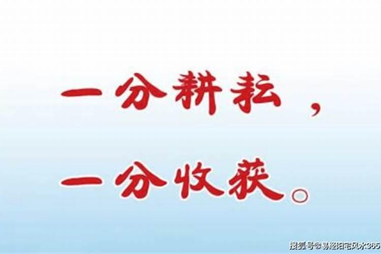 2025年不能进庙的生肖