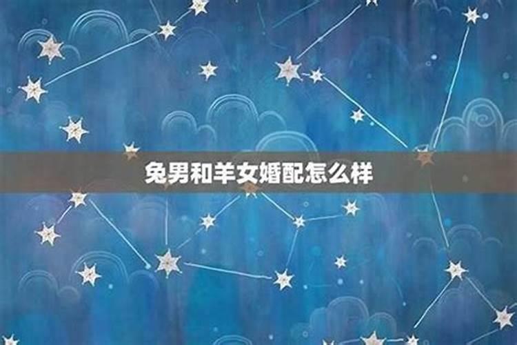 十二生肖里谁最有福气