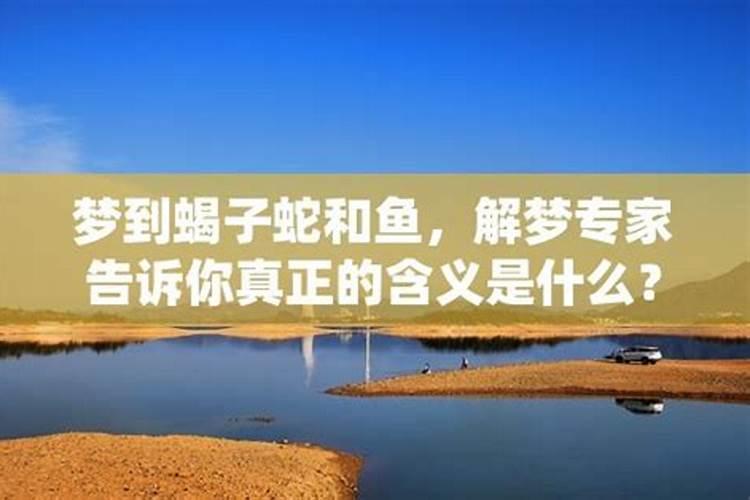 做梦梦到蛇和鱼是什么意思？