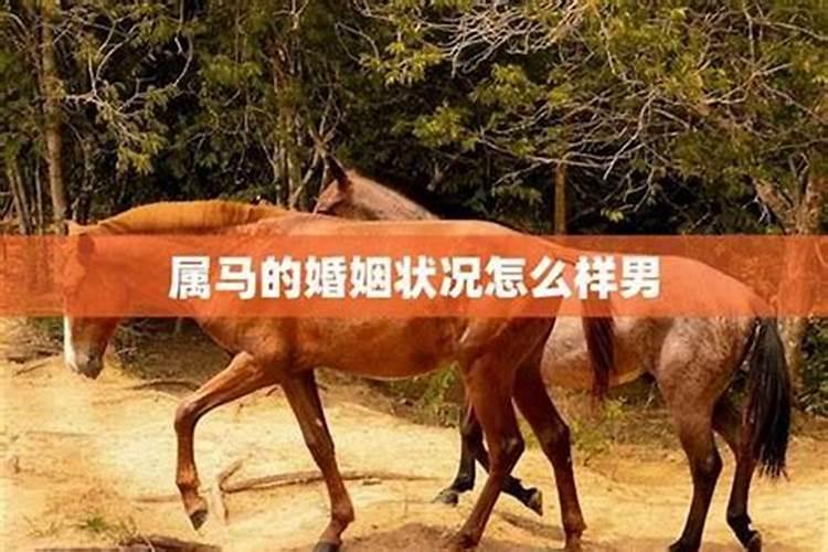 1990年的马2025年运势怎么样