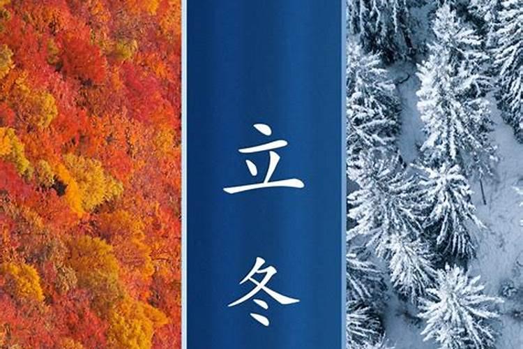 属狗2025年6月运势及运程详解