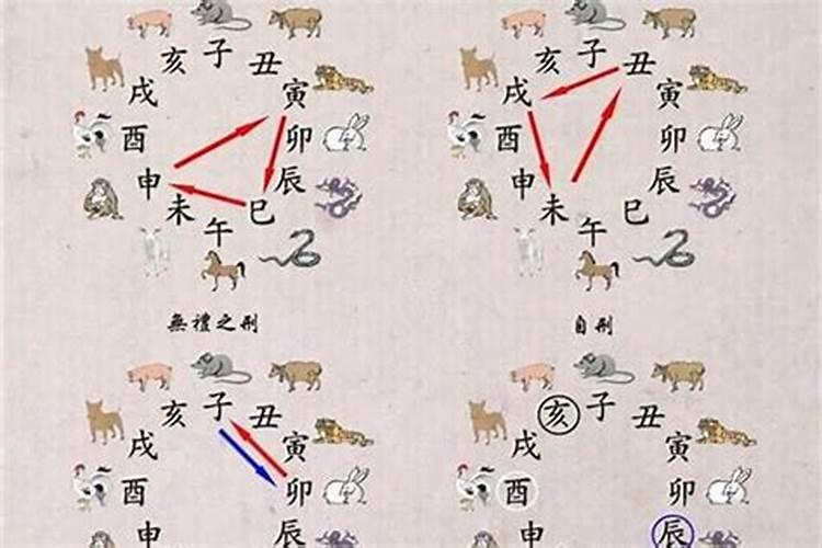2025年82年狗女的全年运势如何