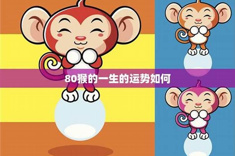 2025年那几个属性犯太岁