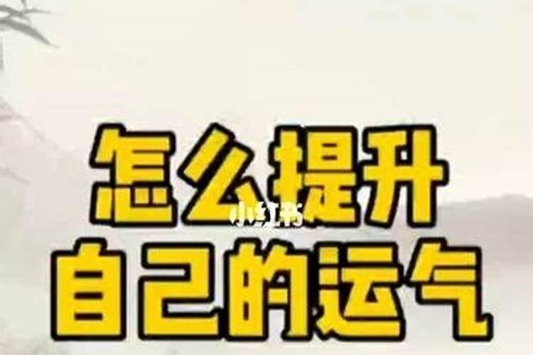 央视中秋晚会在哪个台