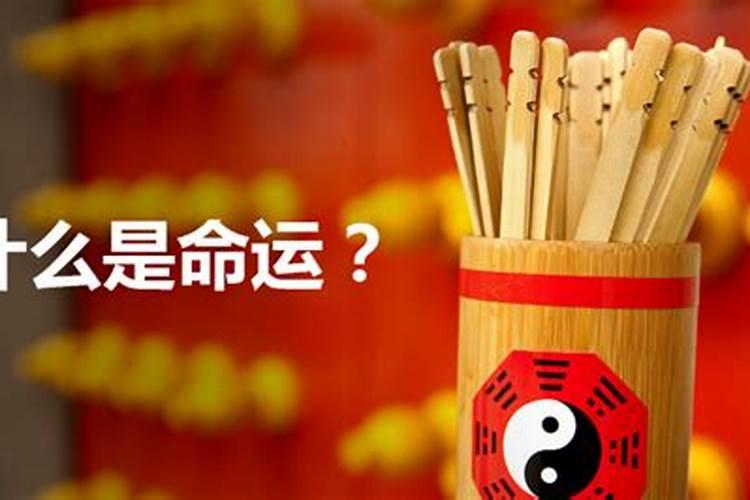 梦见马蜂窝和好多马蜂