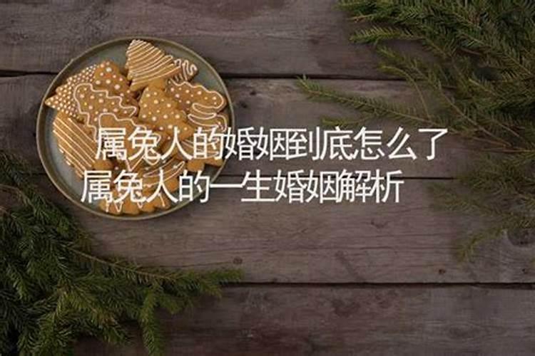 75年的兔527生的农历,为什么婚姻不？