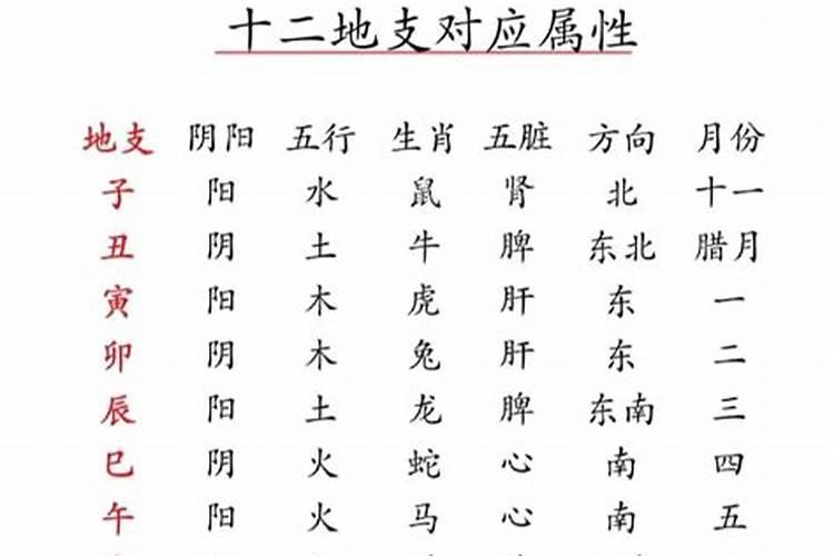 生辰八字是以阳历还是以阴历计算的？