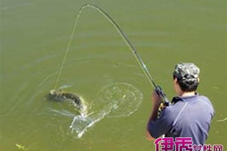 梦见吃鱼好多鱼刺有什么征兆