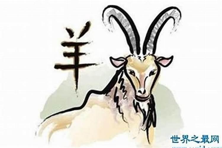 属羊犯太岁怎么破解