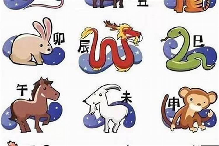 最旺属牛人的5个数字