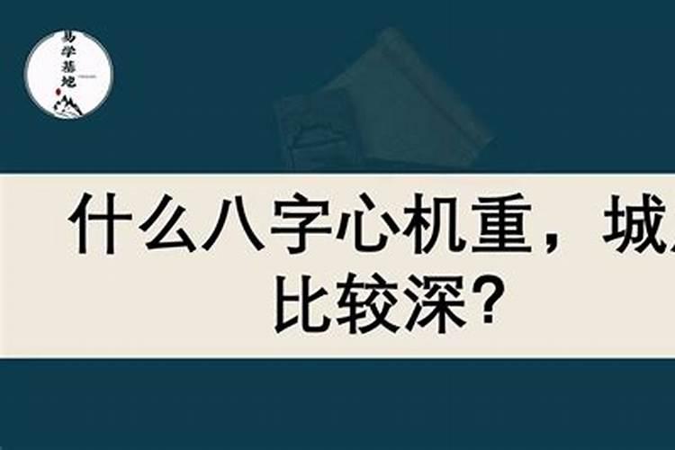 猪年哪个属相犯太岁