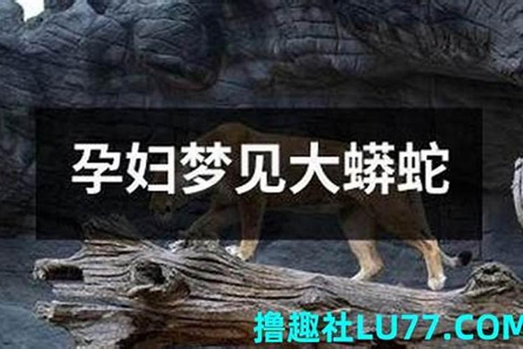梦见被大蟒蛇攻击的预兆
