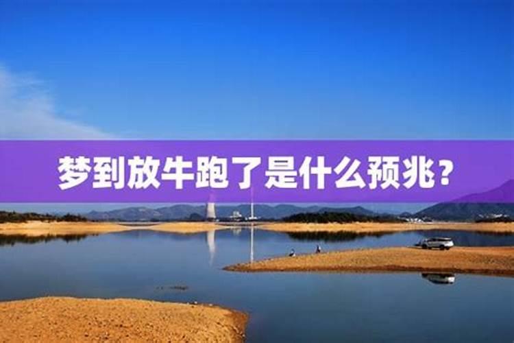 2025虎人运势运程