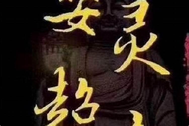 95年生肖猪的命运如何 一生的贵人是谁？