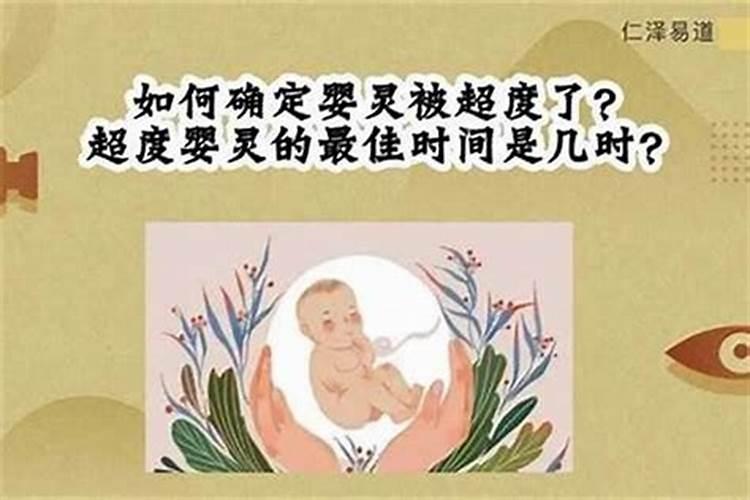 1995年属猪是什么命 95年属猪的是什么命
