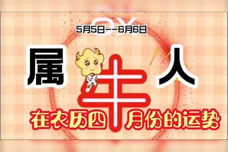 第一运程2025年4月4日属相牛打麻将运势如何