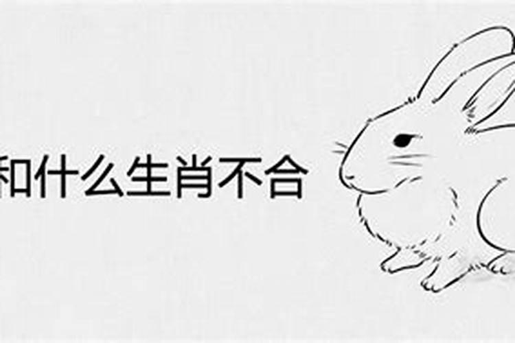 出生在1999年的男生和出生在2003年的人匹配吗