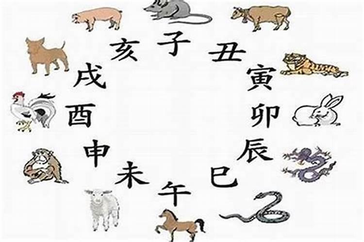 梦到蝎子是什么预兆？