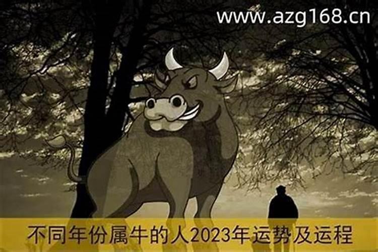 本命年财运不好怎么转运？本命年财运不佳的转运方法