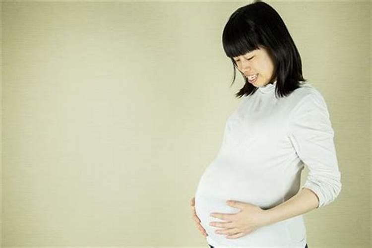 84年女鼠2025年属鼠人的全年运势