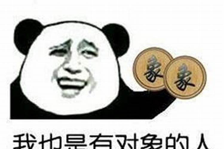物流什么时候开始停运