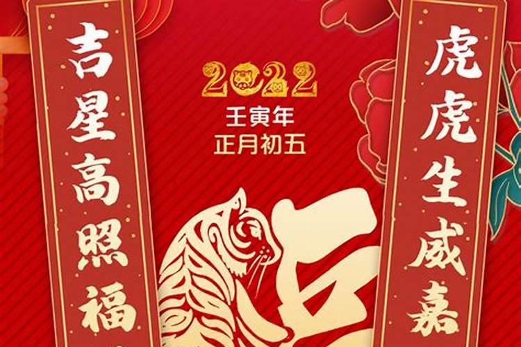 今天放生乌龟,有什么程序？