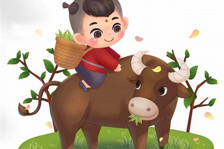 今年30岁是属什么的