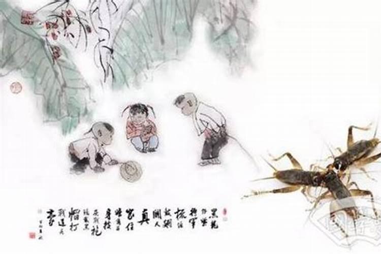 鸡与兔相冲如何化解？