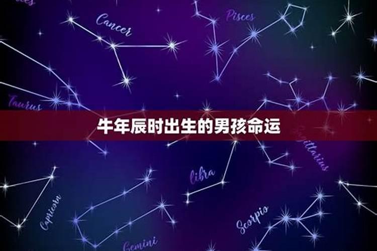 为什么属马的喜欢属狗的 属狗与属马在一起好吗