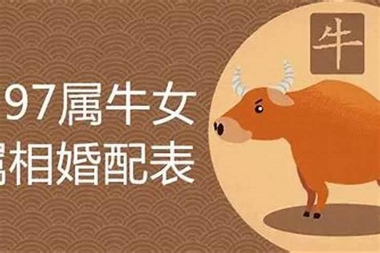 属牛男最佳婚配前十名属相配对指数是多少？