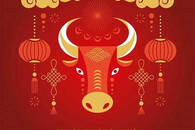 属兔本命年家里摆什么 属兔人家里摆什么旺财