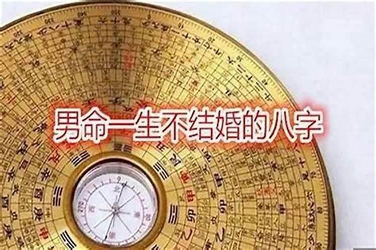 八字配对 辛亥日柱最佳婚配？