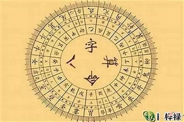 属马能和属鼠的在一起吗 相冲要怎么化解